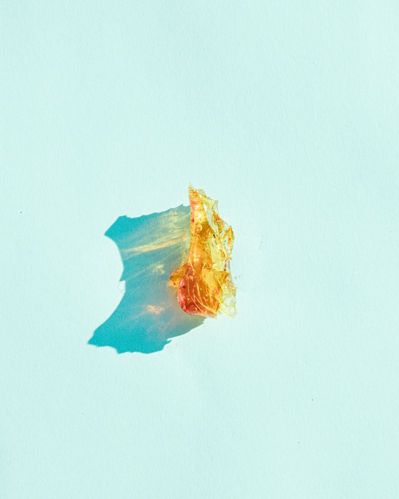 © Alessandro Truffa - Resin for propolis