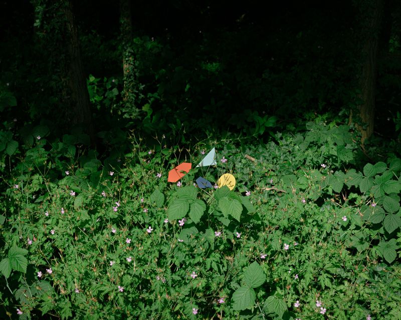 © Alessandro Truffa - Signals for bee landing