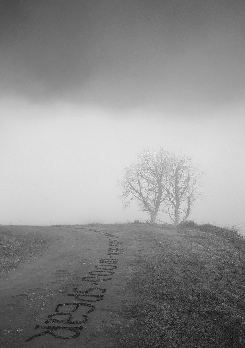 © Aisling Edwards - Offa Spoke