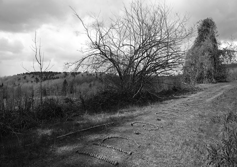 © Aisling Edwards - In a Murky Land