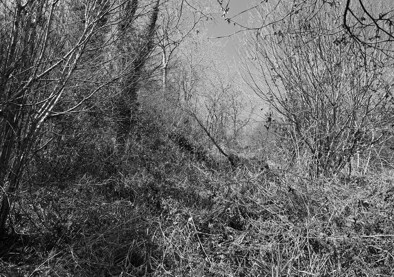 © Aisling Edwards - Borderlands