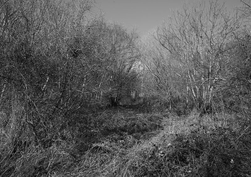 © Aisling Edwards - Unconstrained