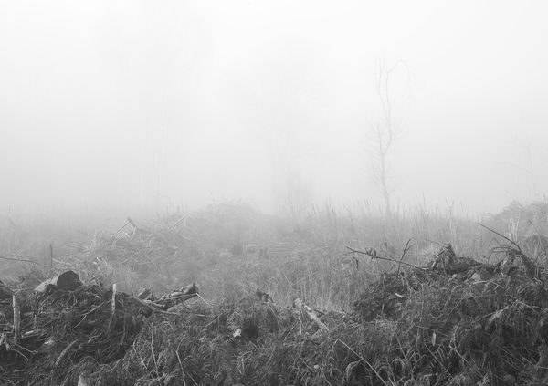 © Aisling Edwards - The Human Battleground