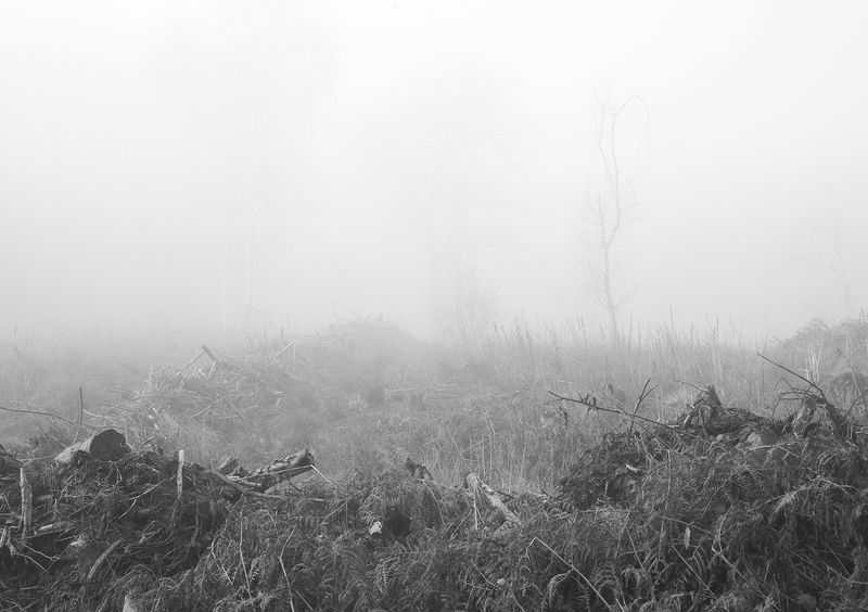 © Aisling Edwards - The Human Battleground