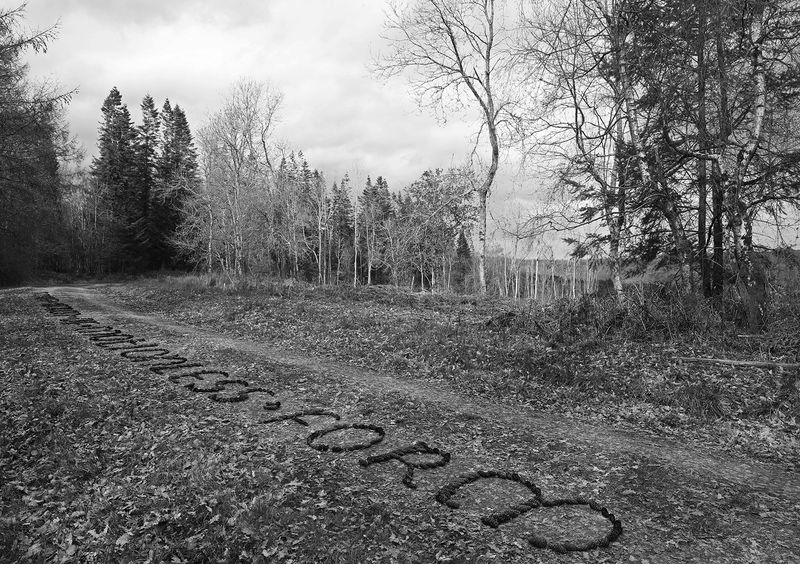 © Aisling Edwards - Scattered, Broken of Motionless Form