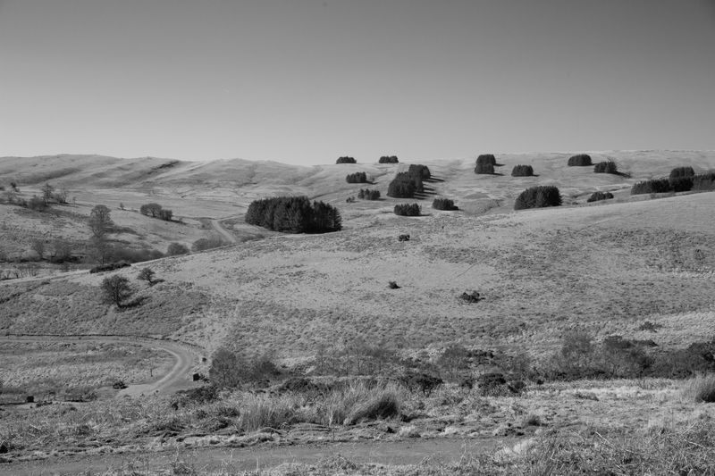 © Aisling Edwards - Image from the Mark Time | Epynt 85 Mylnedd photography project