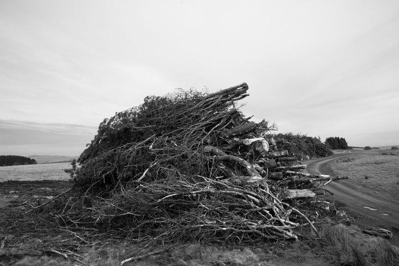 © Aisling Edwards - Image from the Mark Time | Epynt 85 Mylnedd photography project