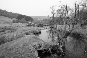 Mark Time | Epynt 85 Mylnedd
