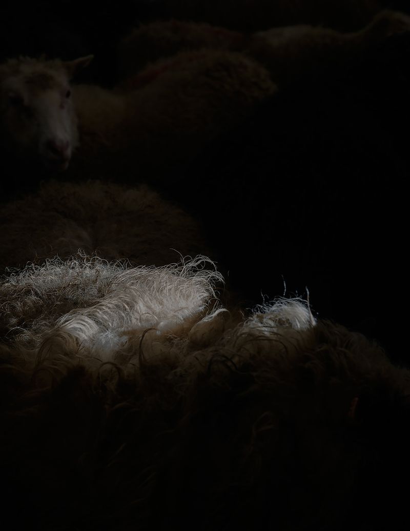 © Marzena Skubatz - Image from the The Weather Report photography project