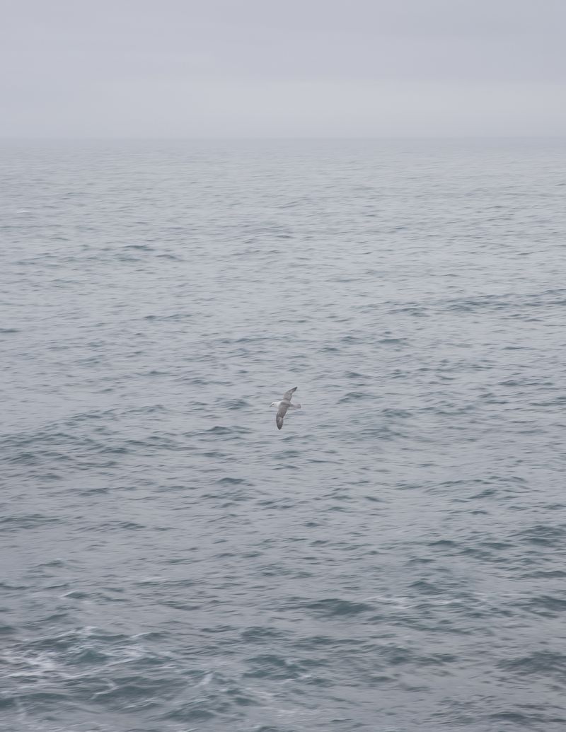 © Marzena Skubatz - Image from the The Weather Report photography project