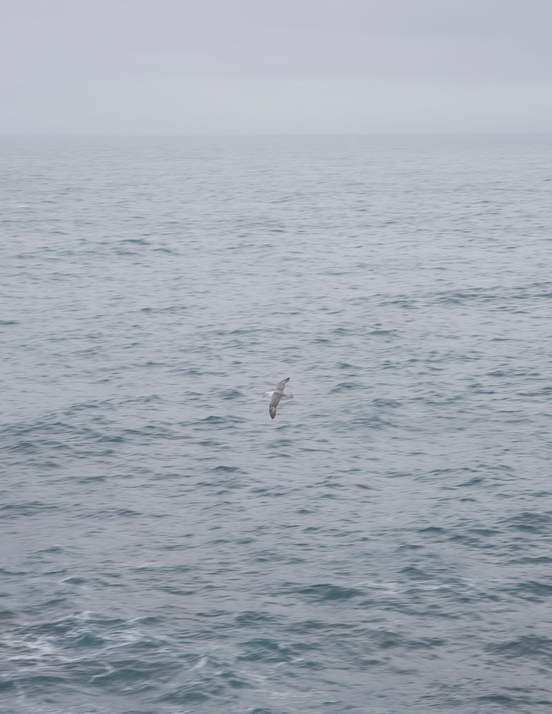 © Marzena Skubatz - Image from the The Weather Report photography project