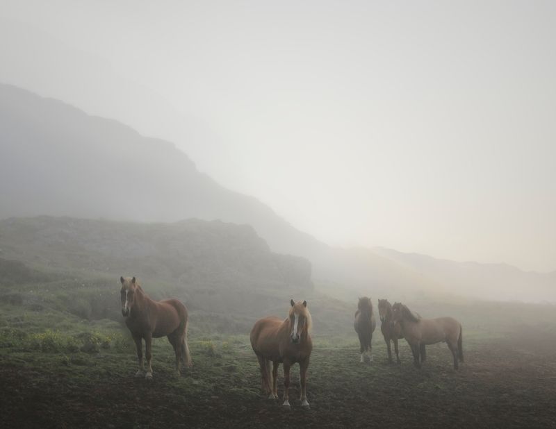 © Marzena Skubatz - Image from the The Weather Report photography project