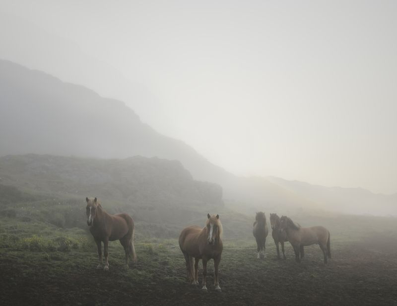 © Marzena Skubatz - Image from the The Weather Report photography project