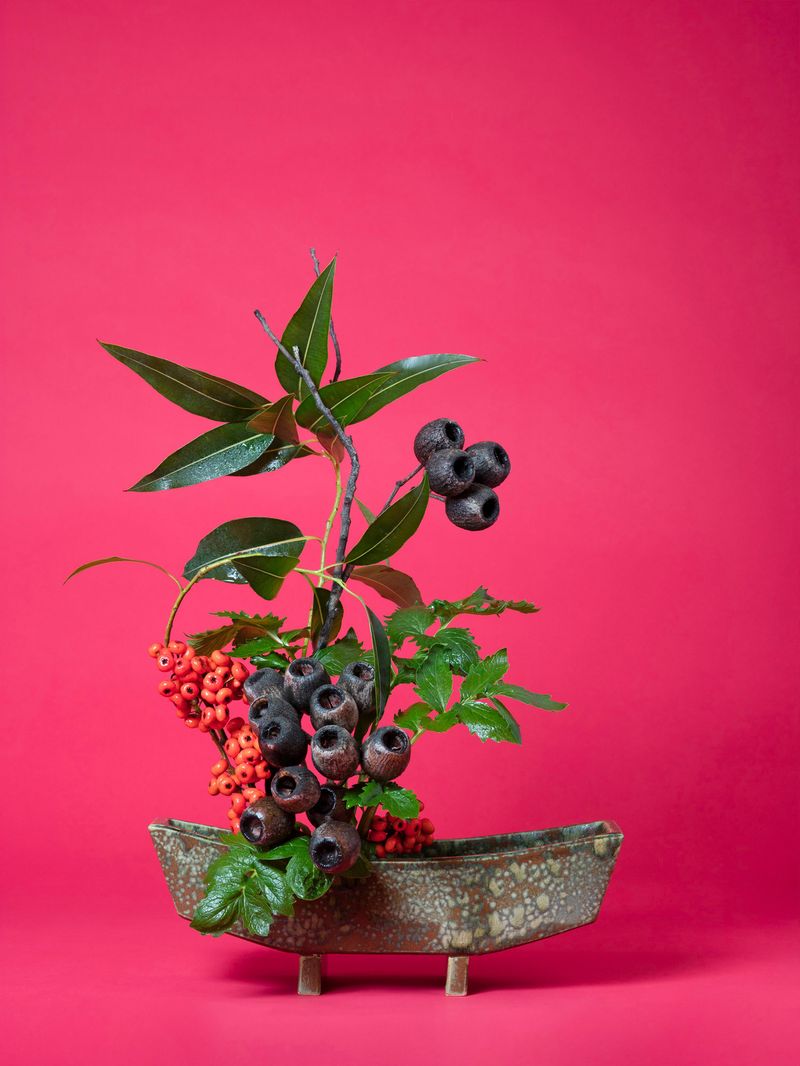 © Ann Shelton - The Scarlet Woman, Valerian (Valerian sp.), 2020. Pigment print. 84 x 112 cm print size, 89 x 117 cm framed.