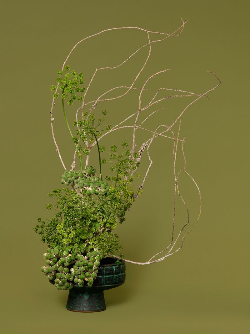 © Ann Shelton - The Herbalist, Parsley (Petroselinum sp.), 2021, pigment print, 112 x 84 cm print size, 117 X 89 cm framed.