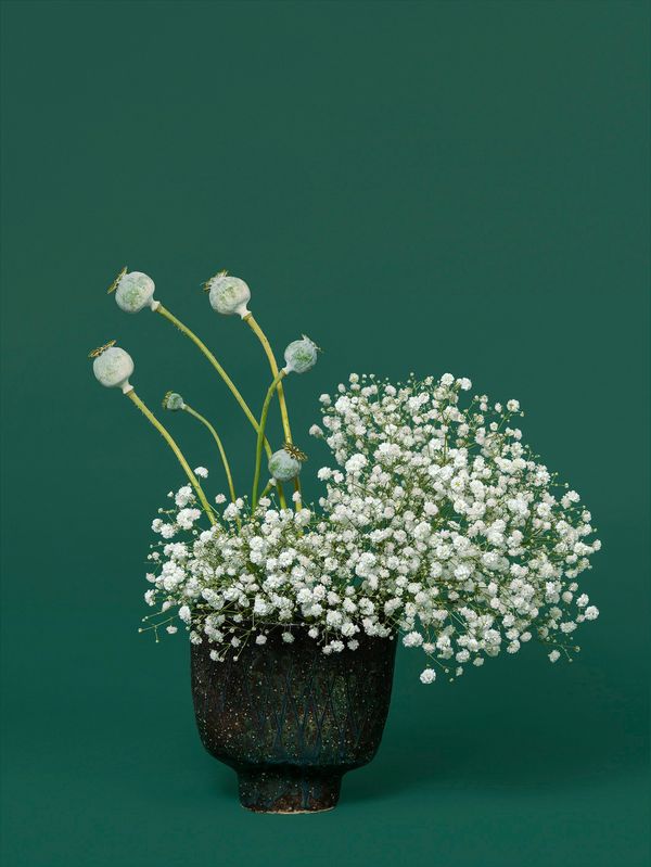 © Ann Shelton - The Nurse, Opium Poppy (Papaver sp.), 2020. Pigment print, 84 x 112 cm print size, 89 x 117 cm framed.
