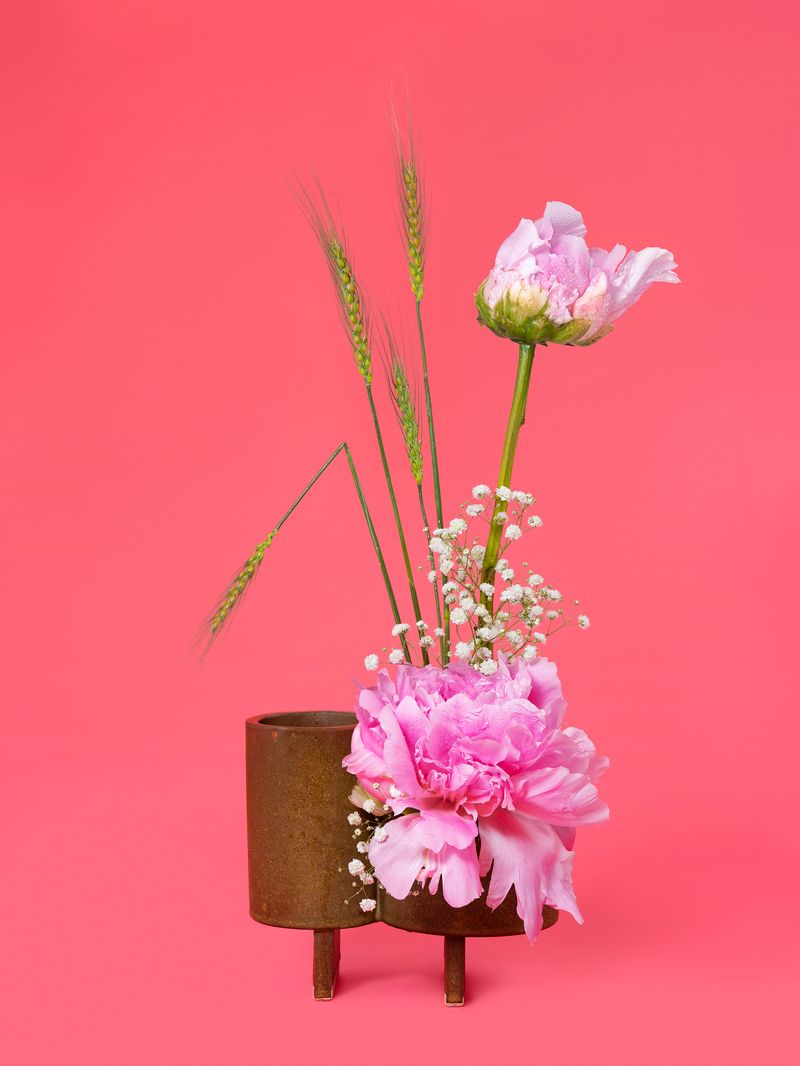 © Ann Shelton - The Party Girl, Peony (Paeonia sp.), 2020. Pigment print, 84 x 112 cm print size, 89 x 117 cm framed.