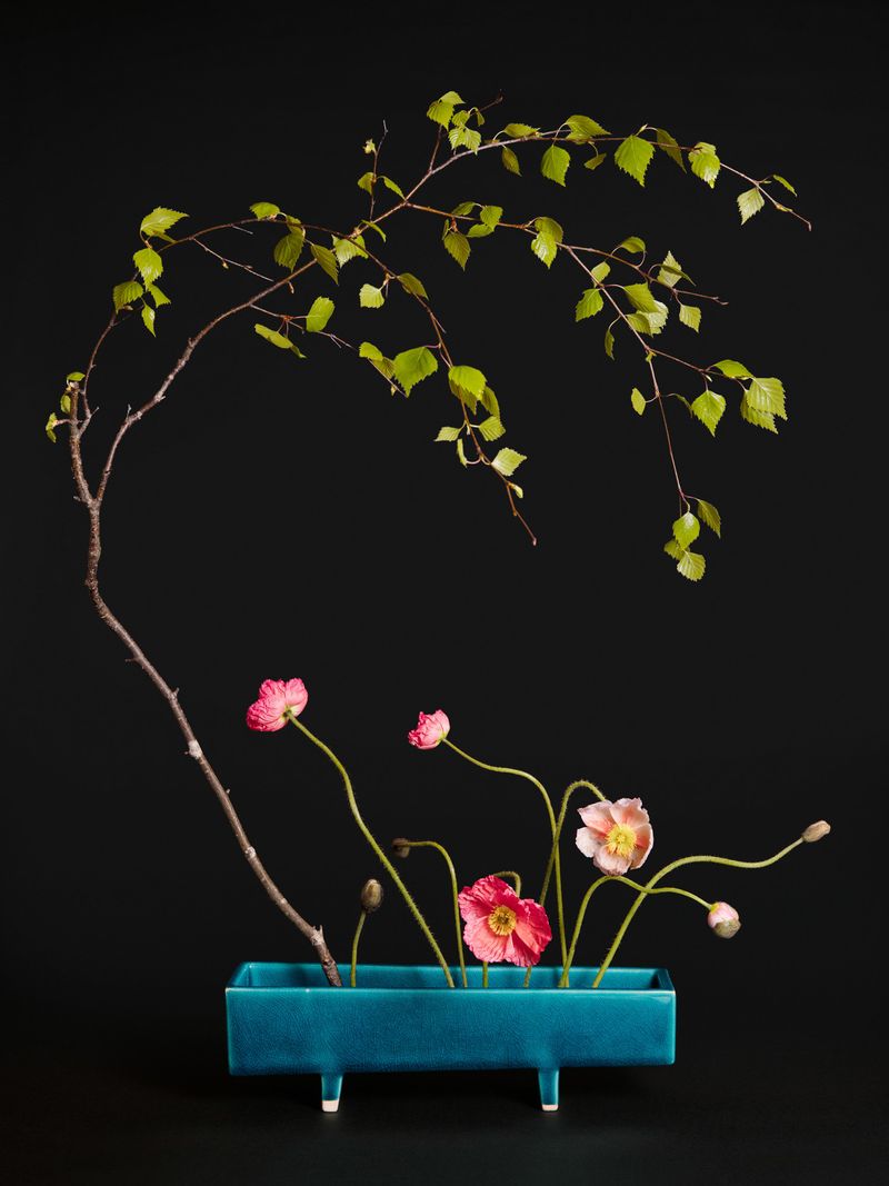 © Ann Shelton - The Femme Fatale, Poppy (Papaver sp.) 2015. Pigment print. 84 x 112 cm print size, 89 x 117 cm framed.