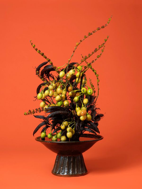 © Ann Shelton - The Courtesan, Poroporo (Solanum sp.), 2020. Pigment print, 84 x 112 cm print size, 89 x 117 cm framed.