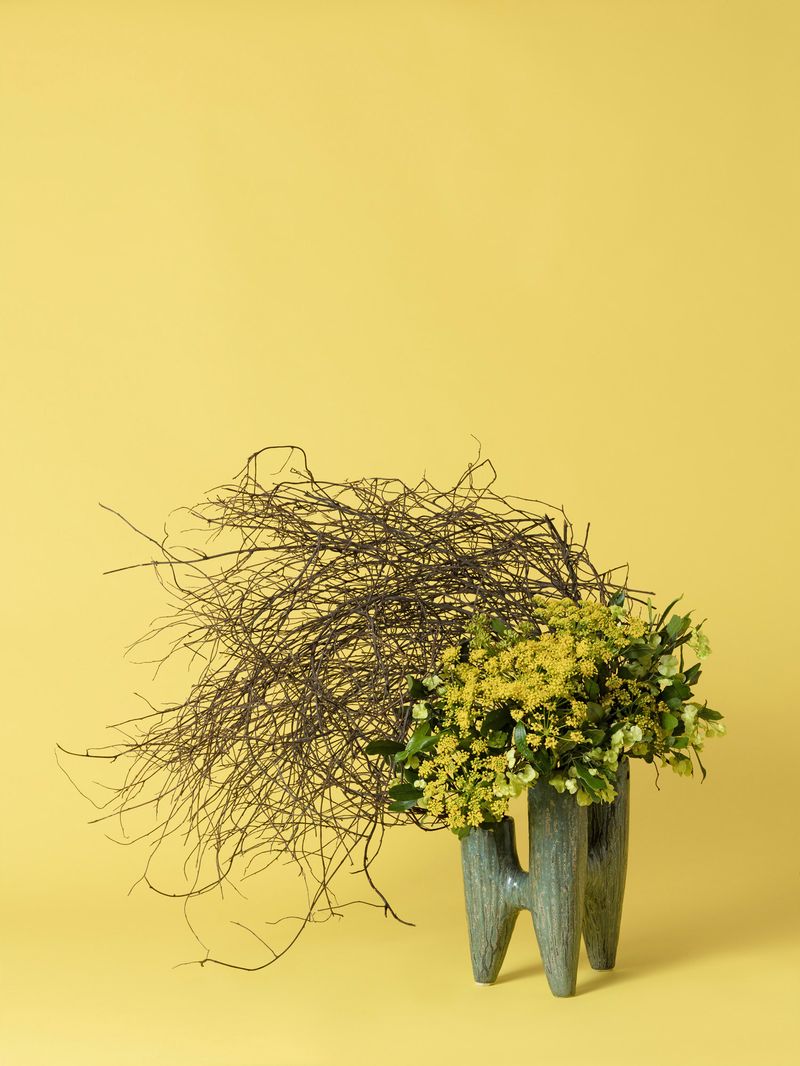 © Ann Shelton - The Hysteric, Fennel (Foeniculum sp.), 2020. Pigment print, 84 x 112 cm print size, 89 x 117 cm framed.