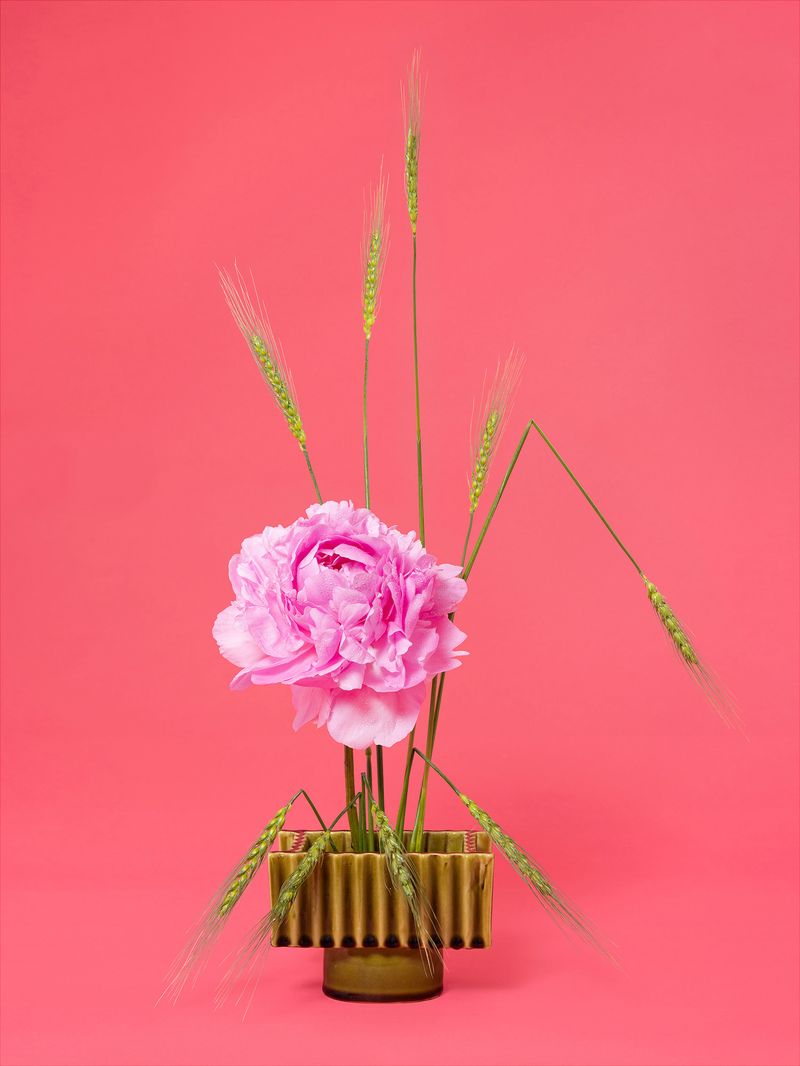 © Ann Shelton - The Influencer, Peony (Paeonia sp.), 2020. Pigment print, 84 x 112 cm print size, 89 x 117 cm framed.