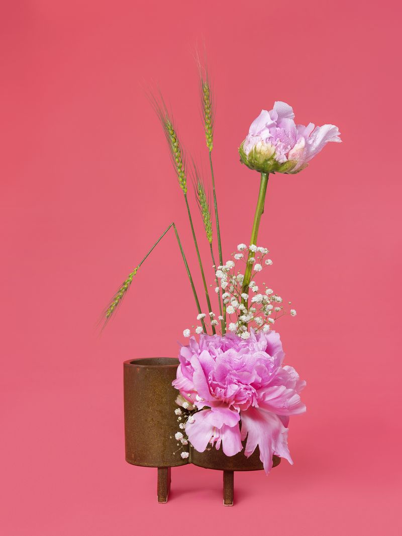 © Ann Shelton - The Party Girl, Peony (Paeonia sp.), 2020. Pigment print, 84 x 112 cm print size, 89 x 117 cm framed.
