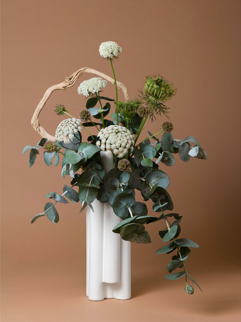 © Ann Shelton - The Handmaid, Queen Anne’s Lace (Daucus sp.), 2020. Pigment print. 84 x 112 cm print size, 89 x 117 cm framed.