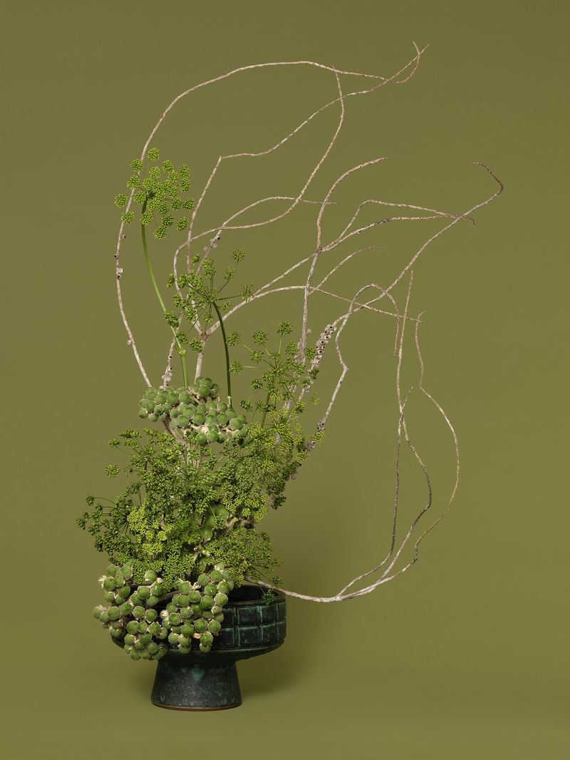 © Ann Shelton - The Herbalist, Parsley (Petroselinum sp.), 2021, pigment print, 112 x 84 cm print size, 117 X 89 cm framed.
