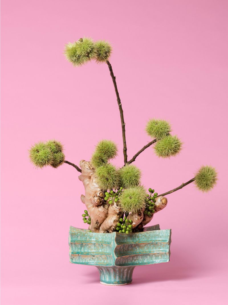 © Ann Shelton - The Floozy, Ginger (Zingiber sp.) 2015. Pigment print. 84 x 112 cm print size, 89 x 117 cm framed.