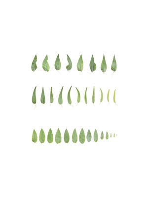 The Naming of a River