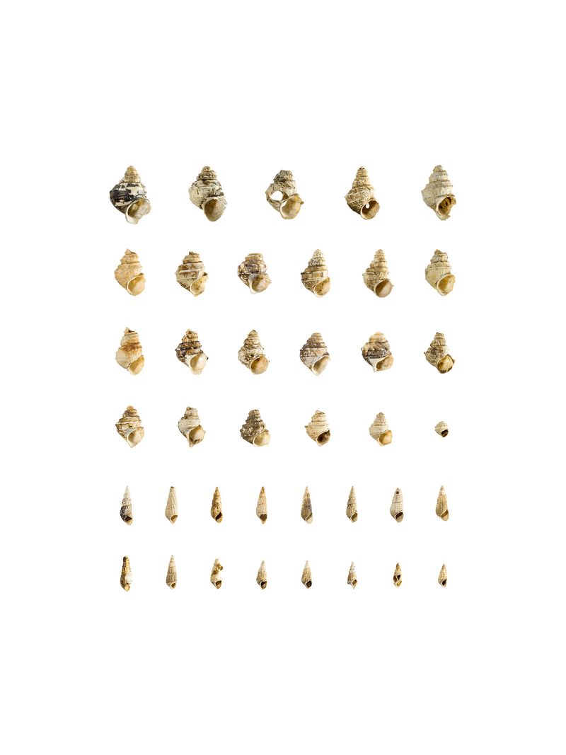 © Cheng Xinhao - Image from the The Naming of a River photography project