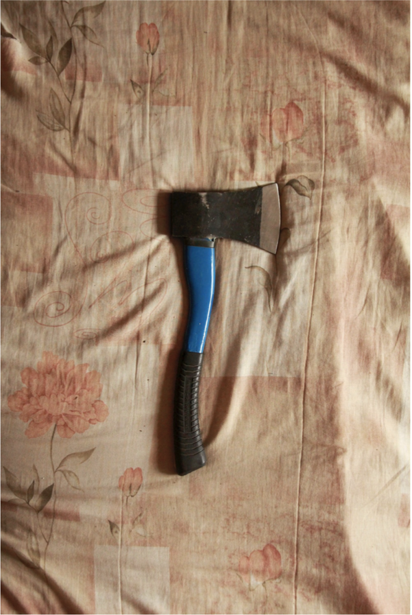 © Thandiwe Msebenzi - Thandiwe Msebenzi, Unoma xabela ngezembe, 2016