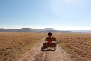 Utata Undiphotha Inwele