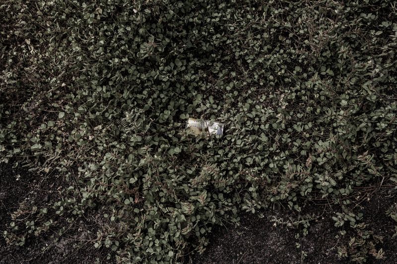 © Francisco Jarrin - Image from the Colonization and progress in Galapagos photography project