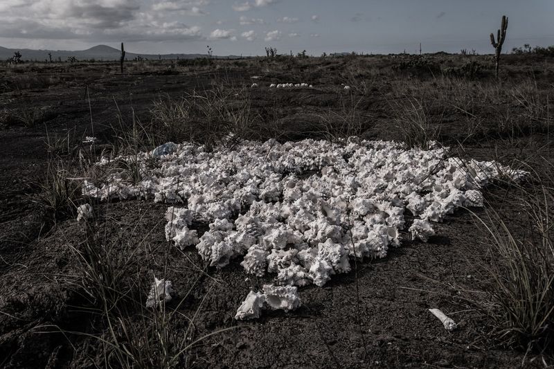© Francisco Jarrin - Image from the Colonization and progress in Galapagos photography project