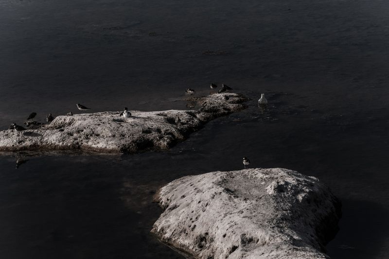 © Francisco Jarrin - Image from the Colonization and progress in Galapagos photography project