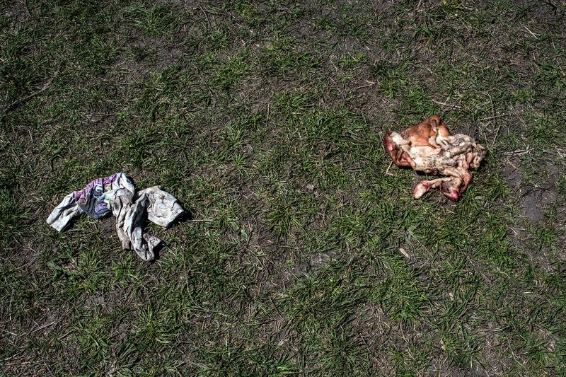 © Francisco Jarrin - Image from the Guernica photography project