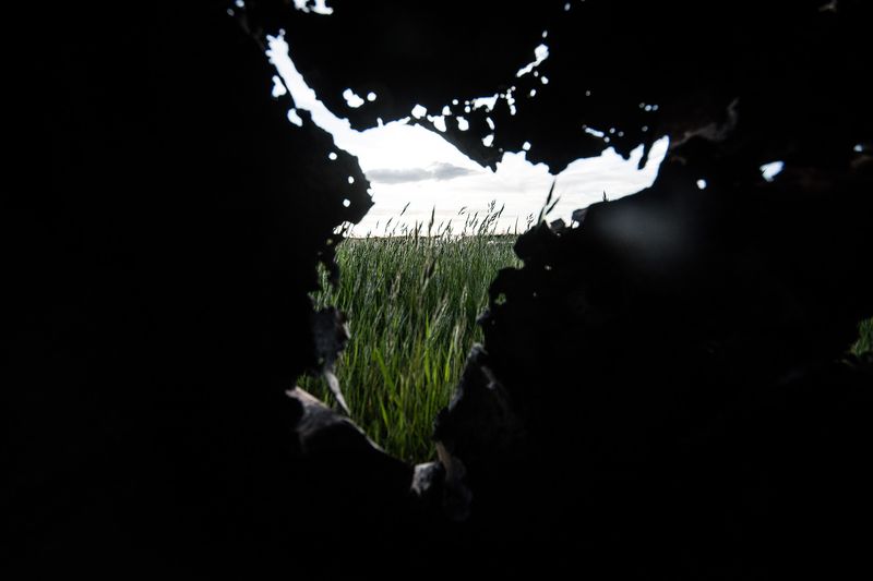 © Francisco Jarrin - Image from the Guernica photography project