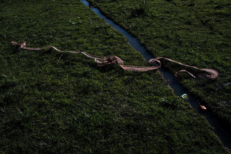 © Francisco Jarrin - Image from the Guernica photography project