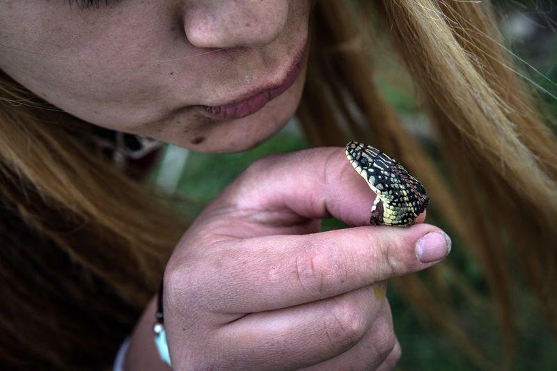 © Francisco Jarrin - Image from the Guernica photography project