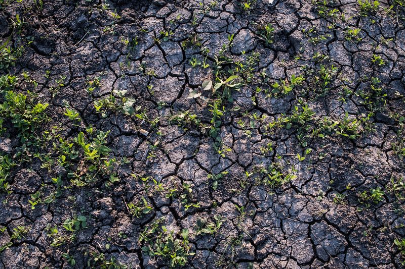 © Francisco Jarrin - Image from the Guernica photography project