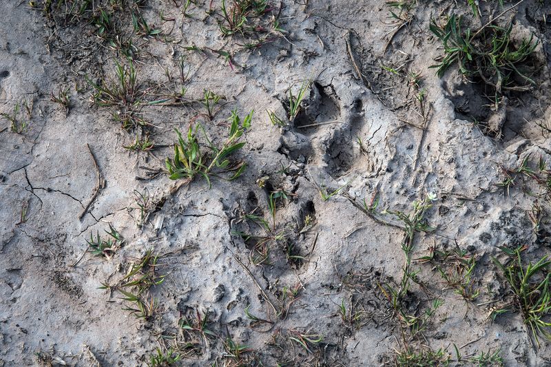 © Francisco Jarrin - Image from the Guernica photography project