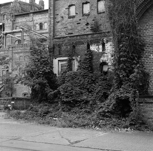 © Oscar McQuillan-Byrne - Image from the The Building House photography project