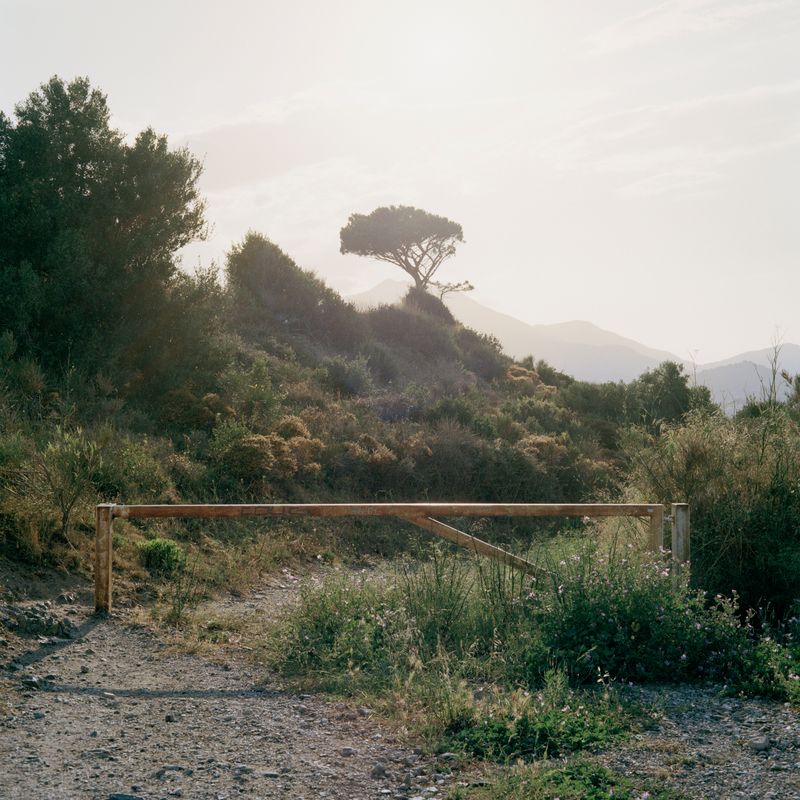 © Oscar McQuillan-Byrne - Image from the Anticipating The Butcher photography project