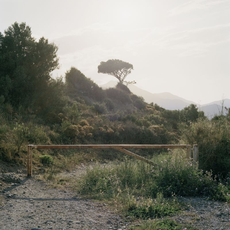 © Oscar McQuillan-Byrne - Banyuls-Sur-Mer, France.