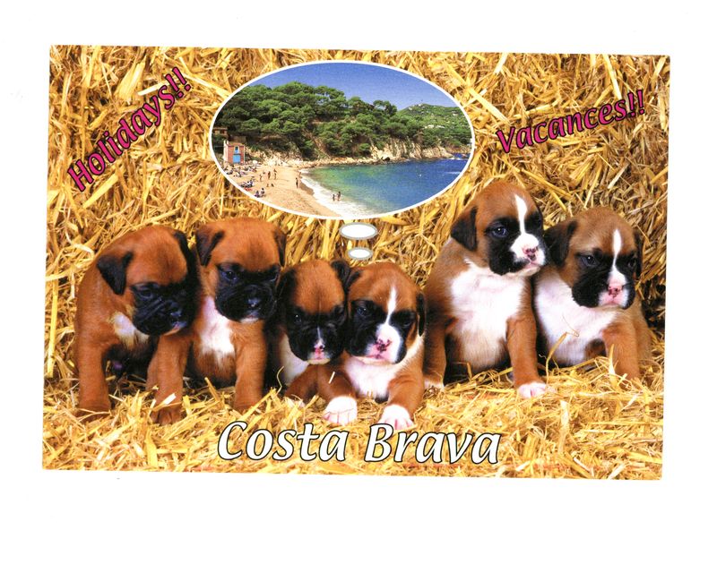 © Oscar McQuillan-Byrne - Costa Brava Postcard, Portbou, Spain.