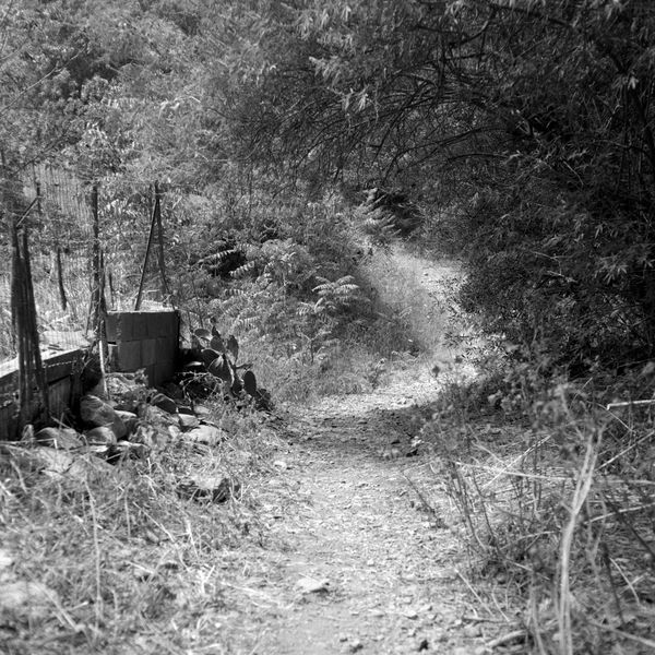 © Oscar McQuillan-Byrne - 'The Walter Benjamin Trail', Banyuls-Sur-Mer, France.