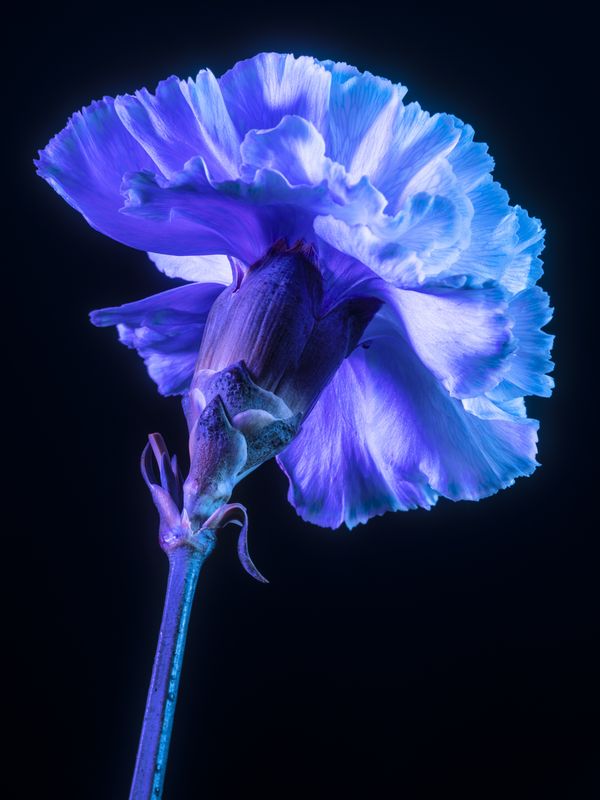 © Dongkyun Vak - Image from the Symptoms photography project