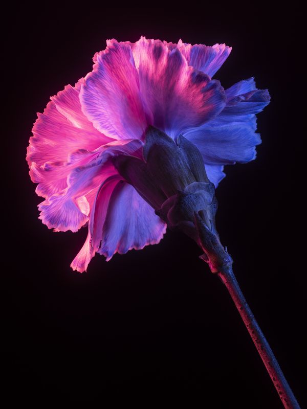 © Dongkyun Vak - Image from the Symptoms photography project