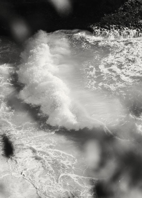 © Angela Galia - A strong wave.